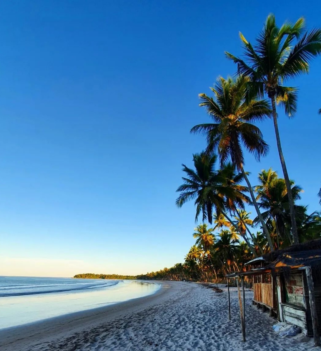 BJJ Camp - Boipeba Island